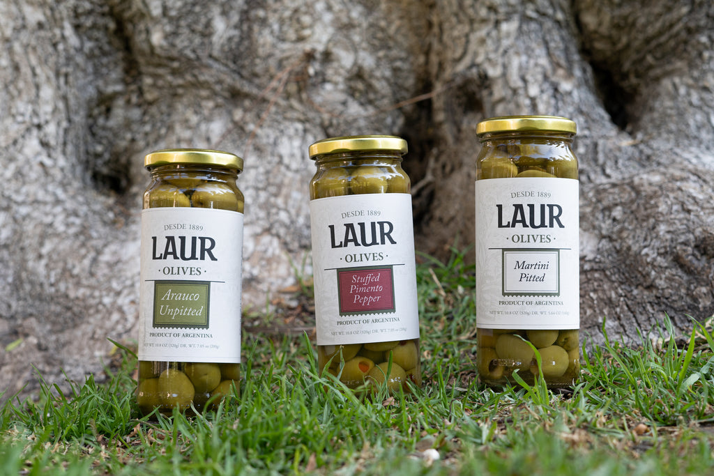 Variety of olives displayed together: Green Arauco Olives - Unpitted 100% Arauco, Martini Olives - Pitted, and Stuffed Pimento Olives, showcasing a selection of premium olives with distinct flavors and textures
